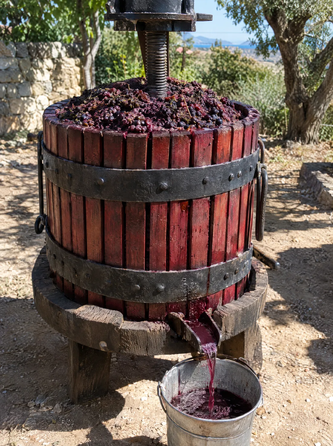 A wooden grape press full of crushed red grapes, juice running into a pail
